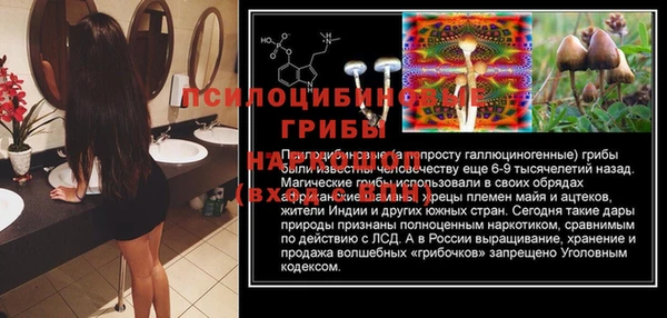 ECSTASY Абдулино