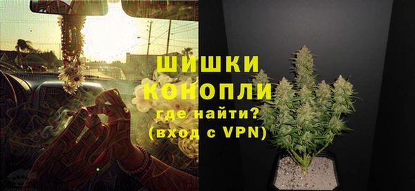 PSILOCYBIN Абаза
