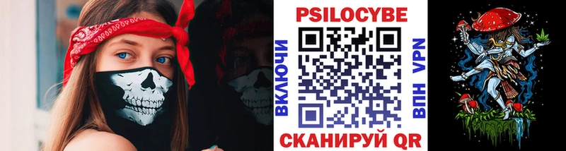 блэк спрут зеркало  Азов  Галлюциногенные грибы прущие грибы 